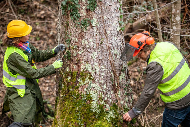 Best Seasonal Cleanup (Spring/Fall)  in Upper Exeter, PA